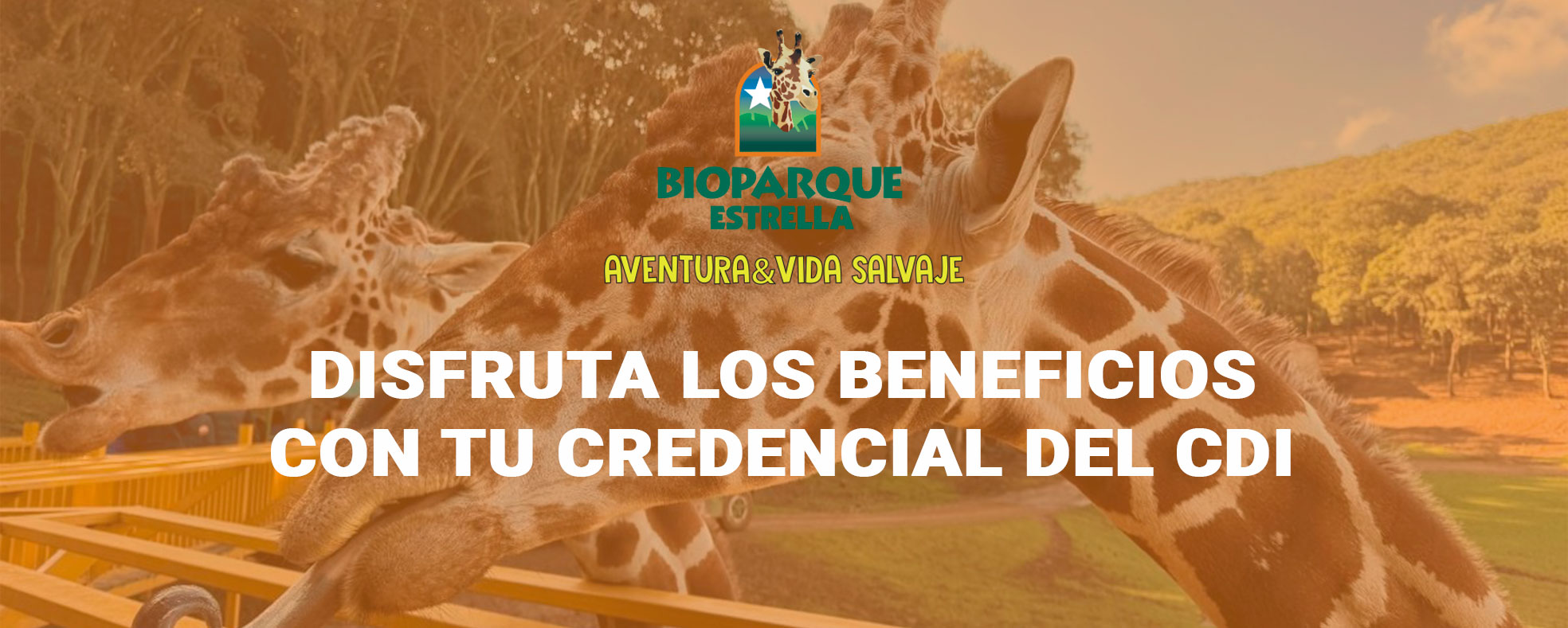 Bioparque beneficios