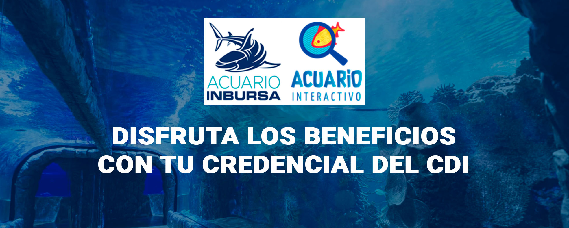 Acuario Inbursa beneficios