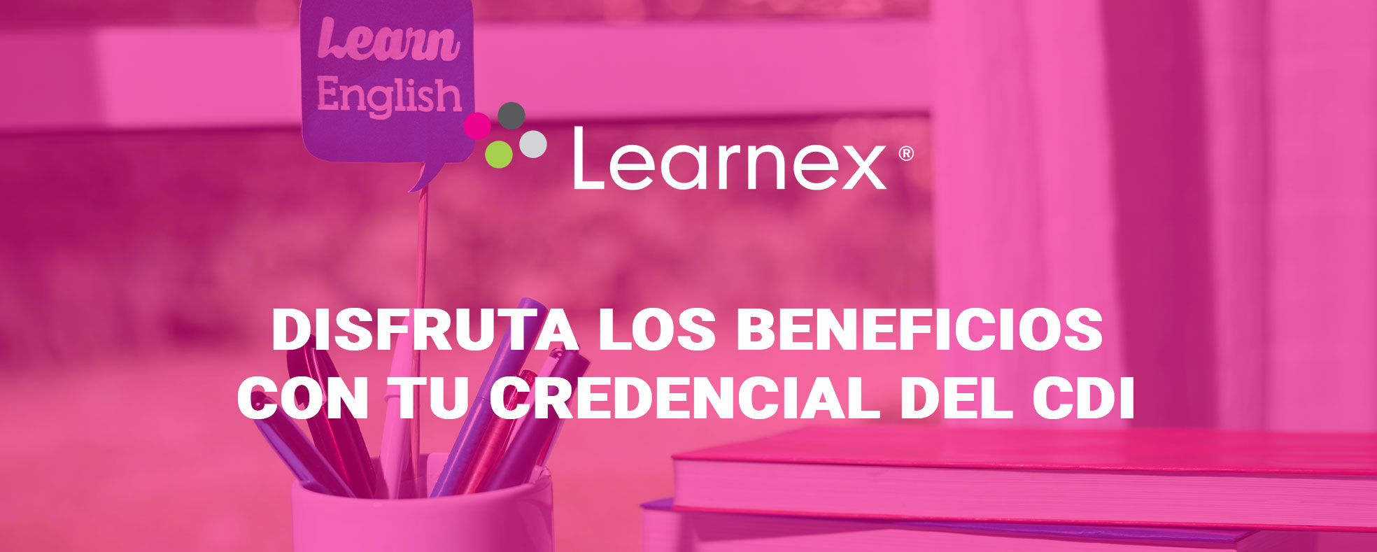 Learnex beneficios