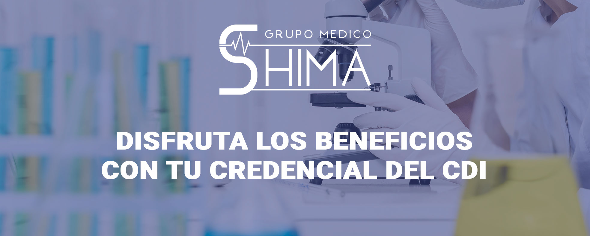 Shima beneficios