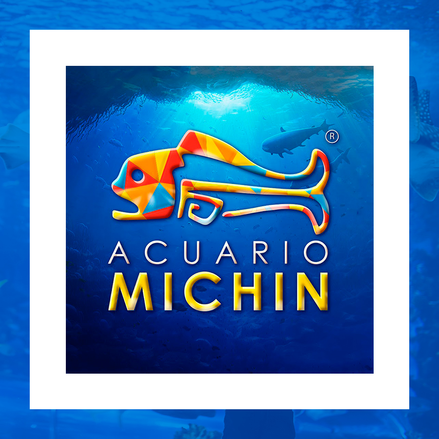 Acuario Michin