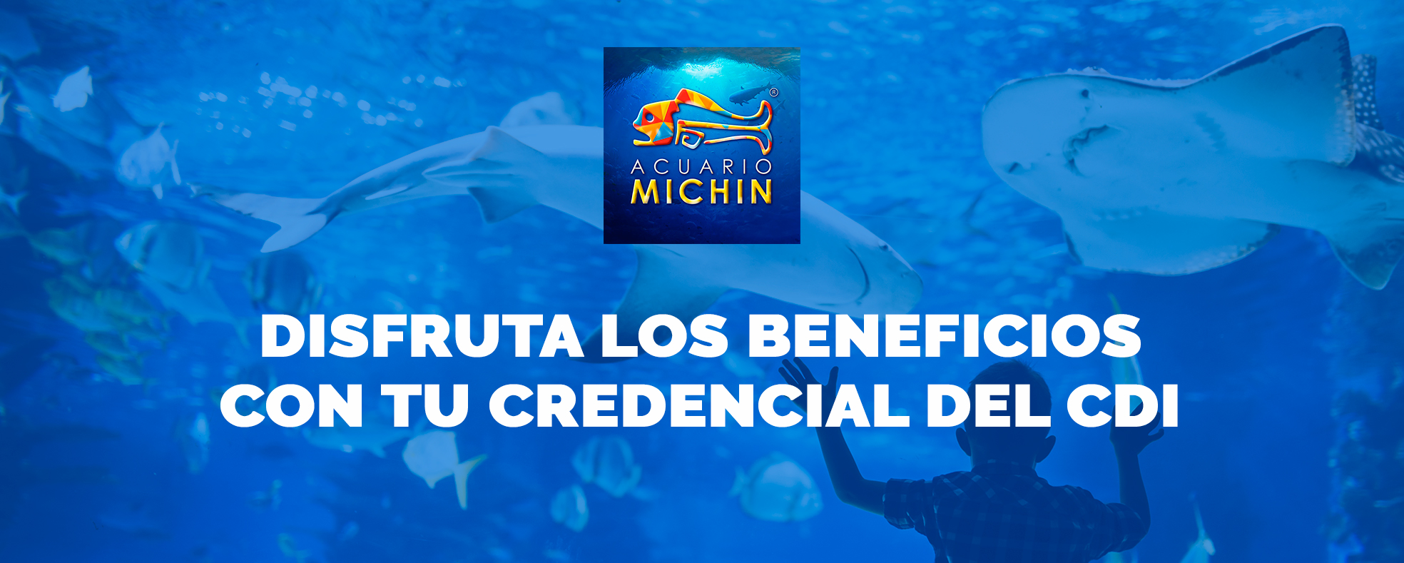 Beneficios Acuario Michin