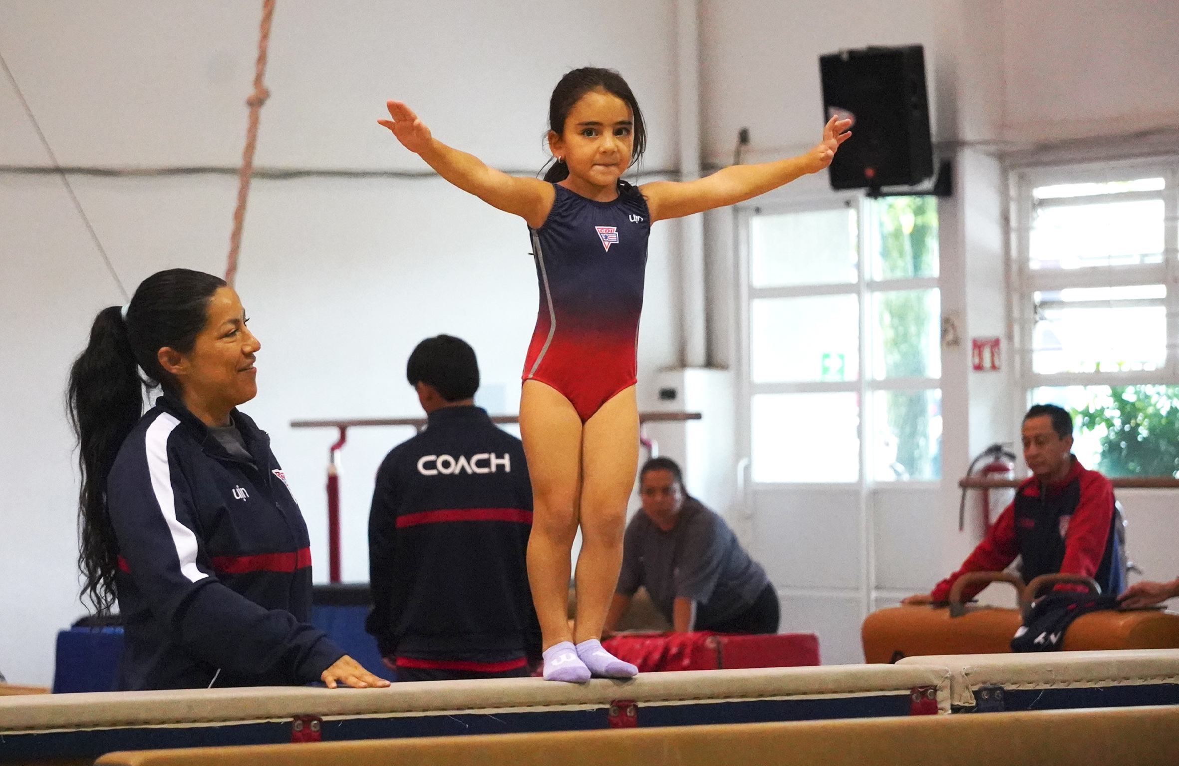 Gimnasia Artística